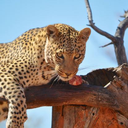 Voyage en Namibie - Agence de Voyage Infinite Horizons Safaris