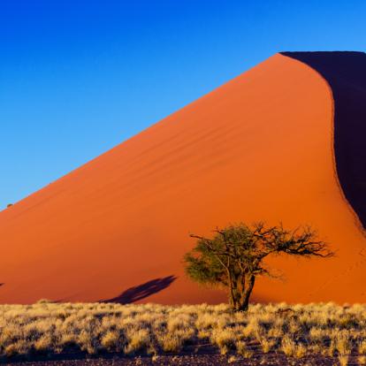 Voyage en Namibie - Agence de Voyage Infinite Horizons Safaris