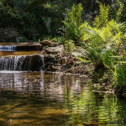Voyage au Portugal - Agence de Voyage SóPraSi