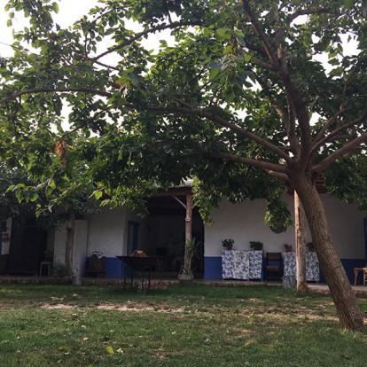 Voyage au Liban - Agence de Voyage Locale Neosafar