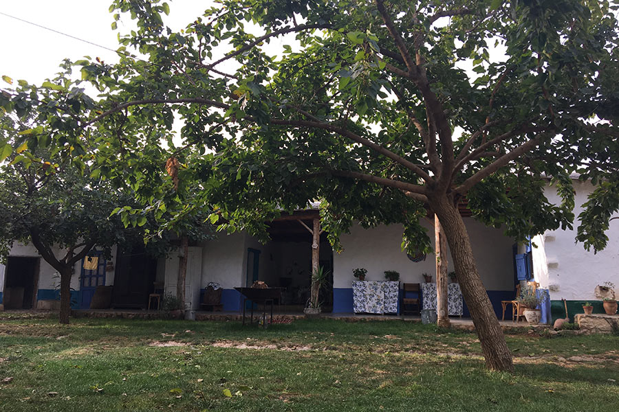 Voyage au Liban - Agence de Voyage Locale Neosafar