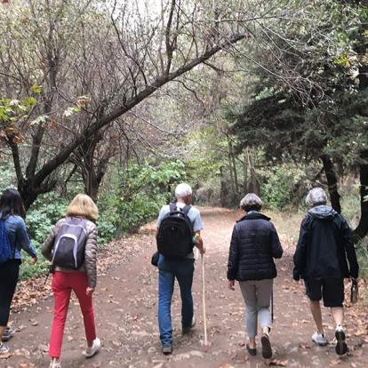 Voyage au Liban - Agence de Voyage Locale Neosafar