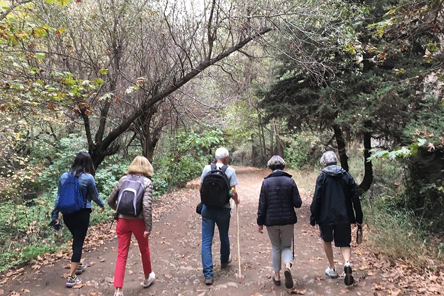 Voyage au Liban - Agence de Voyage Locale Neosafar