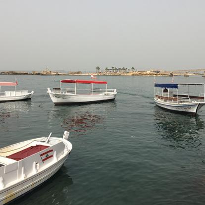 Voyage au Liban - Agence de Voyage Locale Neosafar