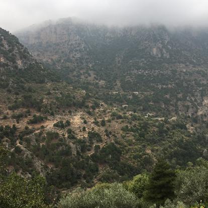 Voyage au Liban - Agence de Voyage Locale Neosafar