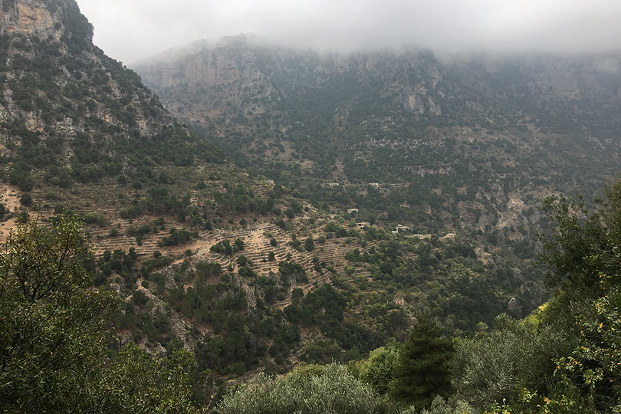 Voyage au Liban - Agence de Voyage Locale Neosafar