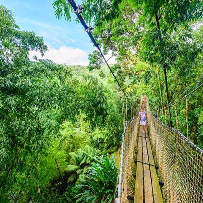 Jardins Balata Voyage en Martinique - Agence de Voyage Locale Voyager Vrai