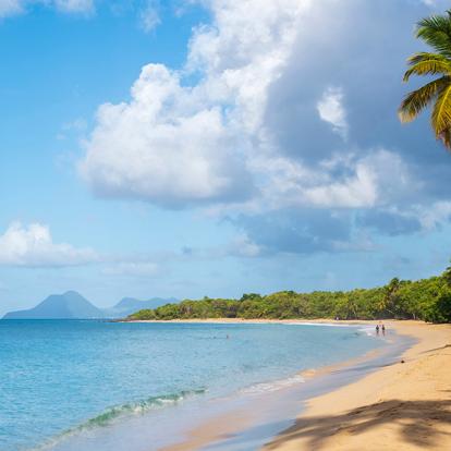 Voyage en Martinique - Agence de Voyage Locale Voyager Vrai