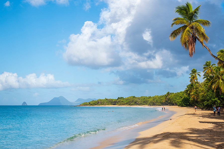 Voyage en Martinique - Agence de Voyage Locale Voyager Vrai