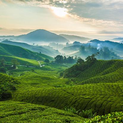 Voyage en Malaisie - Agence de Voyage Shanti Travel