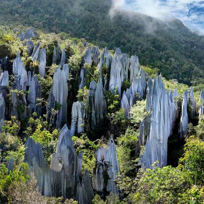 Voyage en Malaisie - Agence de Voyage Shanti Travel