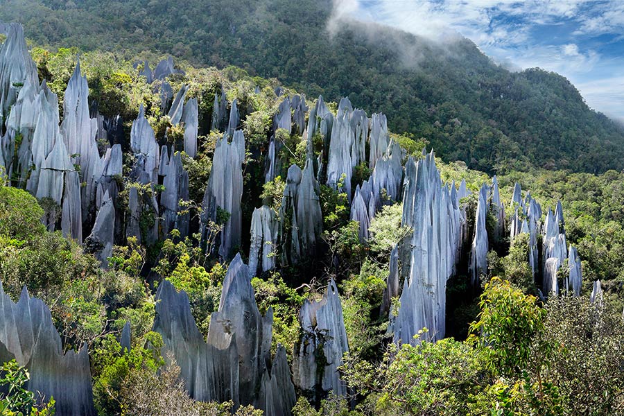 Voyage en Malaisie - Agence de Voyage Shanti Travel