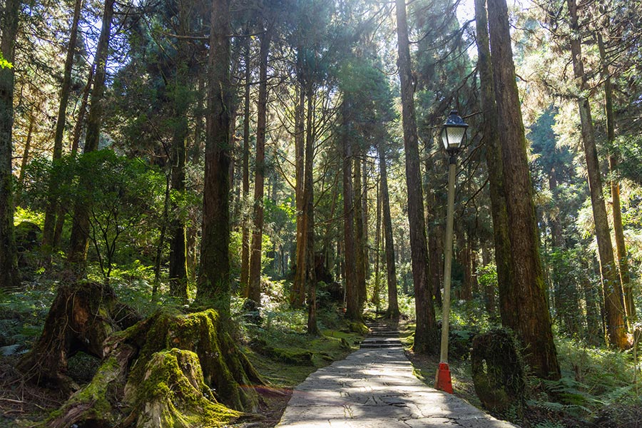 Voyage à Taïwan - Agence de Voyage Crazy Travel