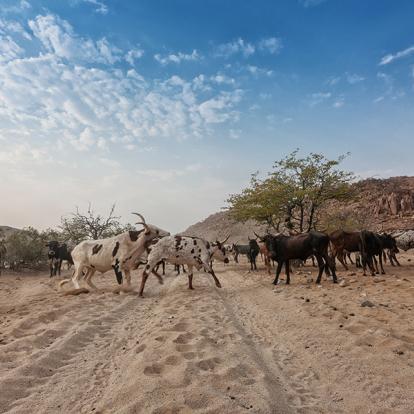 Cunene Voyage en Angola- Agence de Voyage Locale Explora Palanca Safaris