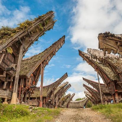 Sulawesi - Tana Toraja Voyage en Indonésie - Agence de Voyage Gloria Tours