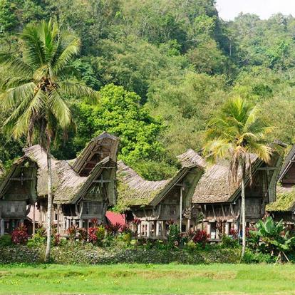 Sulawesi - Toraja Village Voyage en Indonésie - Agence de Voyage Gloria Tours