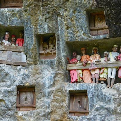 Sulawesi - Toraja, Tombeaux à Lemo Voyage en Indonésie - Agence de Voyage Gloria Tours