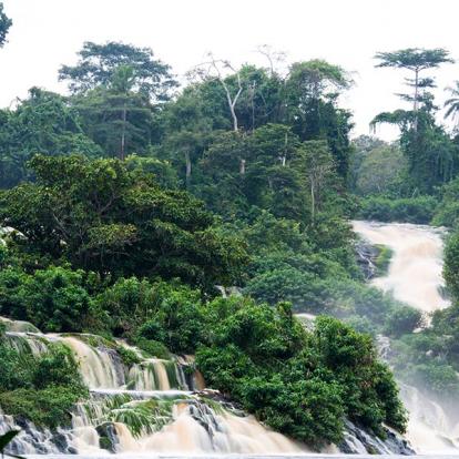 Voyage au Gabon- Agence de Voyage RV-Gabon Expeditions