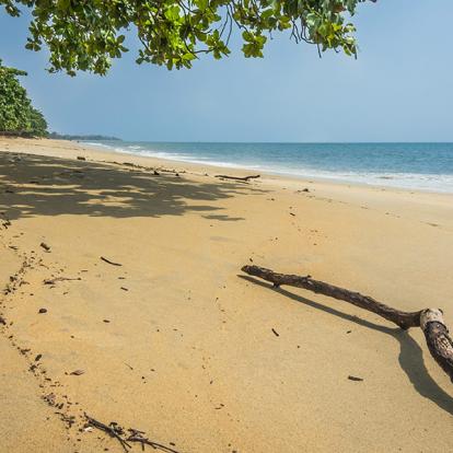 Voyage au Gabon- Agence de Voyage RV-Gabon Expeditions