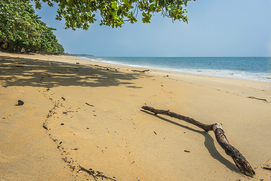 Voyage au Gabon- Agence de Voyage RV-Gabon Expeditions