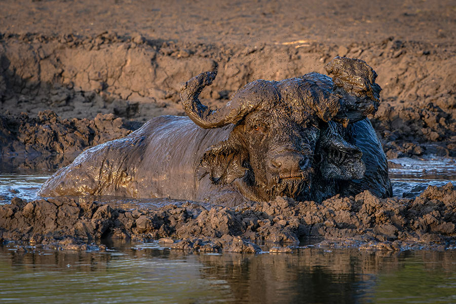 Voyage en Ouganda - Agence de Voyage Africa Adventure Vacations