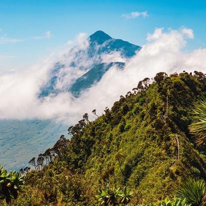 Voyage en Ouganda - Agence de Voyage Africa Adventure Vacations