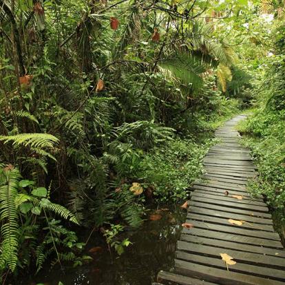 Voyage en Ouganda - Agence de Voyage Africa Adventure Vacations