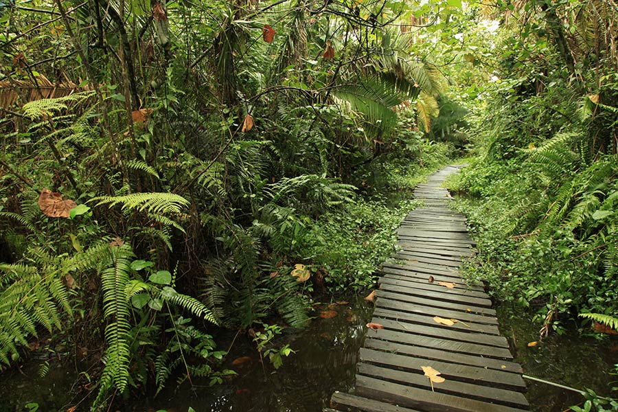 Voyage en Ouganda - Agence de Voyage Africa Adventure Vacations