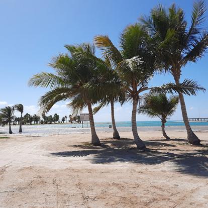 Voyage en Arabie Saoudite - Agence de Voyage Bonjour Saudi