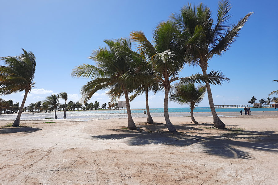 Voyage en Arabie Saoudite - Agence de Voyage Bonjour Saudi