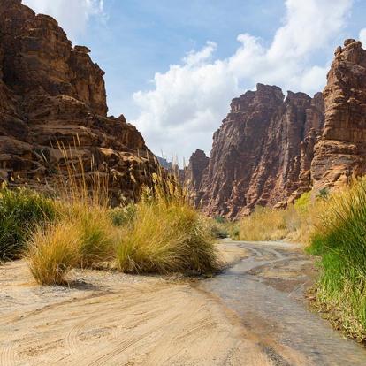 Voyage en Arabie Saoudite - Agence de Voyage Bonjour Saudi