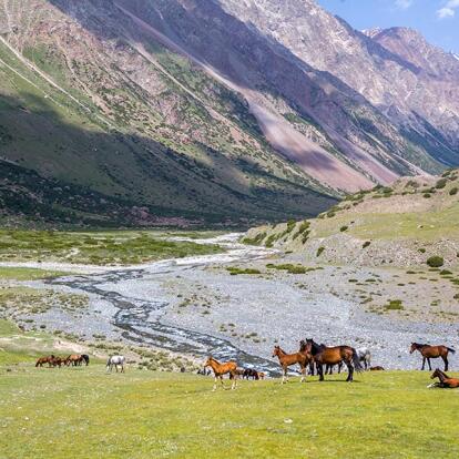 Voyage au Kazakhstan - Agence de Voyage Silk Road Destinations