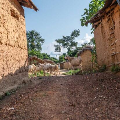 Voyage en Côte d'Ivoire - Agence de Voyage Pyramide Voyages