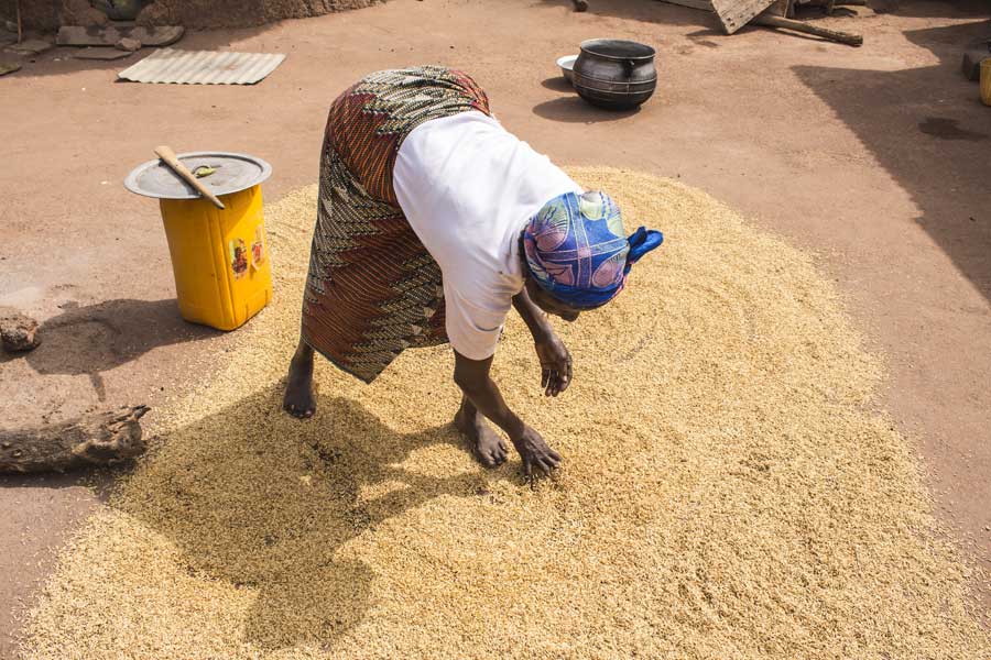 Voyage au Togo - Agence de Voyage Africa Trips