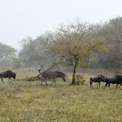 Voyage au Togo - Agence de Voyage Africa Trips
