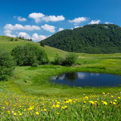 Gornje bare, Parc National Sutjeska Voyage en Bosnie-Herzégovine - Agence de Voyage Terra Balka