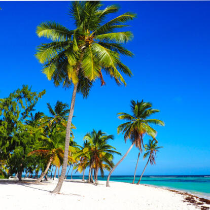 Voyage en République Dominicaine - Agence de Voyage TERRA Dominicana
