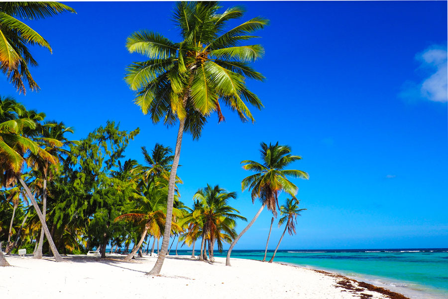 Voyage en République Dominicaine - Agence de Voyage TERRA Dominicana