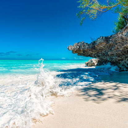 Voyage en Tanzanie - Agence de Voyage Impelisa Travel and Tours