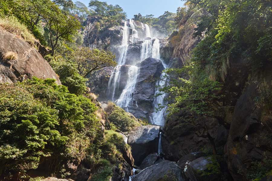 Voyage en Tanzanie - Agence de Voyage Impelisa Travel and Tours