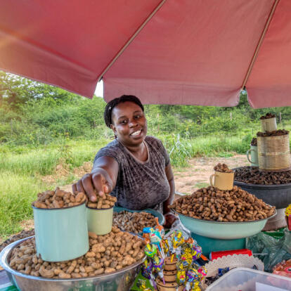 Voyage en Tanzanie - Agence de Voyage Impelisa Travel and Tours