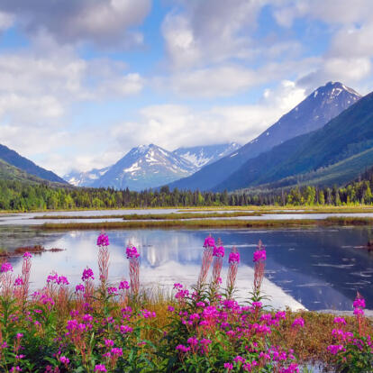 Voyage en Alaska Sur Mesure - Agence de Voyage Terra Canada & Alaska