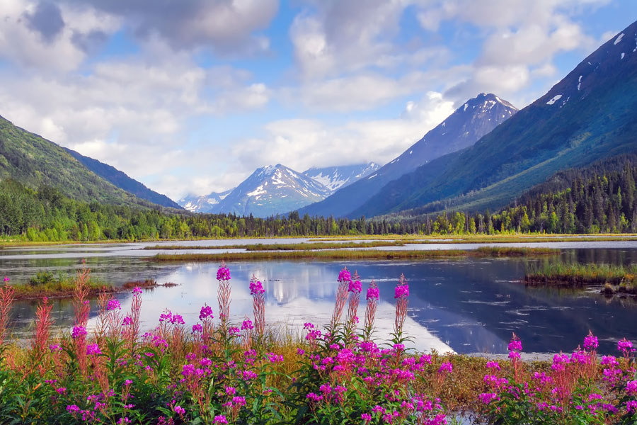 Voyage en Alaska Sur Mesure - Agence de Voyage Terra Canada & Alaska
