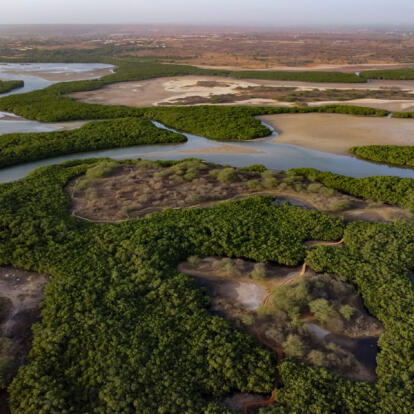Voyage au Sénégal - Agence Contact Voyages Sénégal