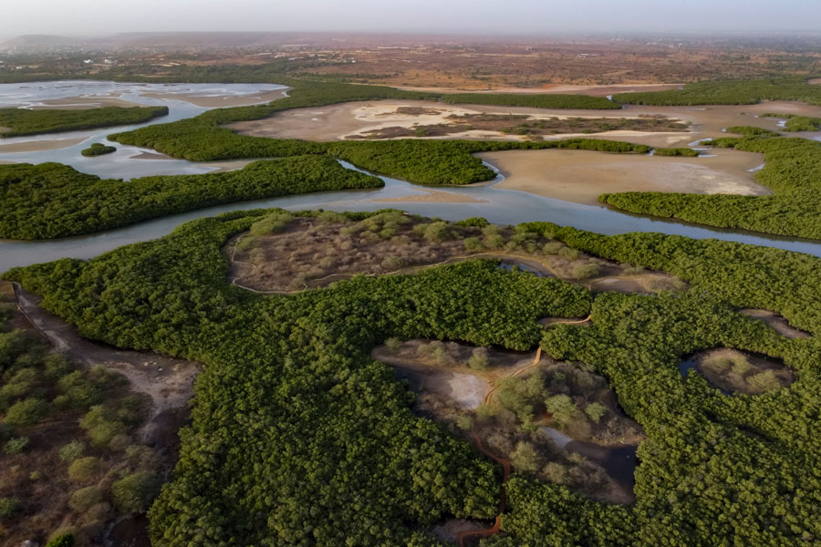 Voyage au Sénégal - Agence Contact Voyages Sénégal