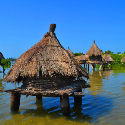 Voyage au Sénégal - Agence Contact Voyages Sénégal