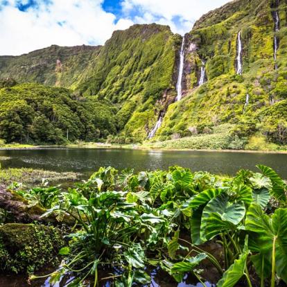 Album Photos - Les Açores