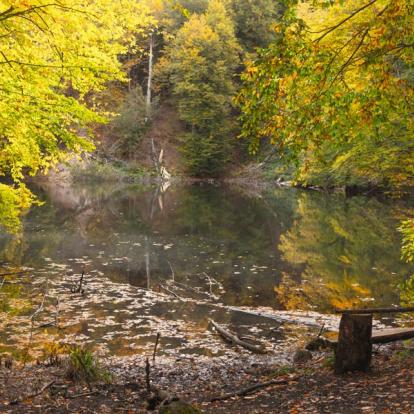 Album Photos - Azerbaïdjan