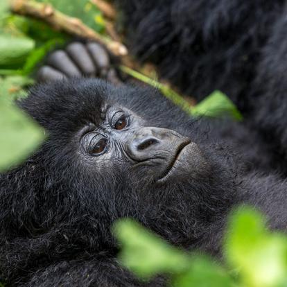 Galerie Photos de la République Démocratique du Congo