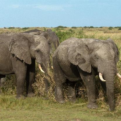 Galerie Photos de la République Démocratique du Congo